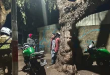 Controles reforzados dejan más de 200 fiscalizaciones durante ronda extraordinaria en Teno Controles Reforzados Dejan Mas De 200 Fiscalizaciones Durante Ronda Extraordinaria En Teno 1