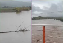 Declaran Alerta Amarilla para Licantén y Curepto por aumento del caudal del río Mataquito Declaran Alerta Amarilla Para Licanten Y Curepto Por Aumento Del Caudal Del Rio Mataquito