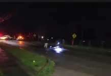Hombre Muere Tras Ser Atropellado Por Dos Vehiculos En Linares Uno De Los Conductores Huyo Del Lugar