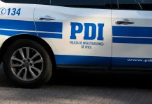 Indignación en Marchigüe tras hallazgo de perro galgo ahorcado en un árbol Indignacion En Marchigue Tras Hallazgo De Perro Galgo Ahorcado En Un Arbol