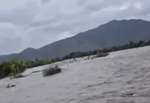 Mantienen Alerta Roja en la Región del Maule por riesgo de desborde de ríos: seis estaciones alcanzan umbral crítico Mantienen Alerta Roja En La Region Del Maule Por Riesgo De Desborde De Rios Seis Estaciones Alcanzan Umbral Critico 1