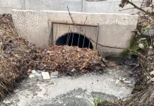 Municipalidad de Curicó refuerza trabajos preventivos ante sistema frontal que podría dejar cerca de 100 milímetros de lluvia Municipalidad De Curico Refuerza Trabajos Preventivos Ante Sistema Frontal Que Podria Dejar Cerca De 100 Milimetros De Lluvia