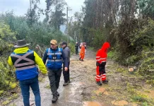 Municipalidad De Molina Informa Balance De Emergencias Por Sistema Frontal Ocho Caidas De Arboles Y Cinco Sectores Afectados 1