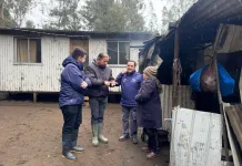 704 hogares del Maule recibirán Bono de Recuperación tras sistema frontal 704 Hogares Del Maule Recibiran Bono De Recuperacion Tras Sistema Frontal 1