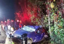 Accidente vehicular deja a conductor lesionado y atrapado en ruta hacia Camelia de Retiro Accidente Vehicular Deja A Conductor Lesionado Y Atrapado En Ruta Hacia Camelia De Retiro