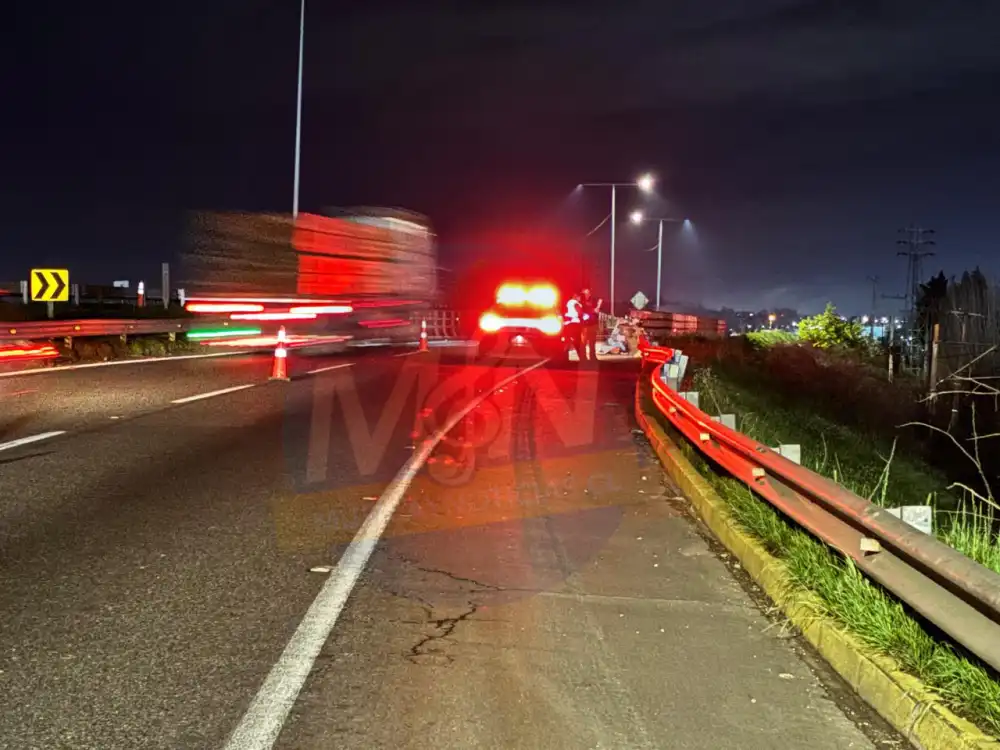 Adulto Mayor Fallece Tras Ser Atropellado En La Ruta 5 Sur A La Altura De Curico