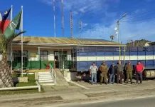 Animales robados en Villa Prat son recuperados tras hallar camión abandonado en la Región Metropolitana Animales Robados En Villa Prat Son Recuperados Tras Hallar Camion Abandonado En La Region Metropolitana 1