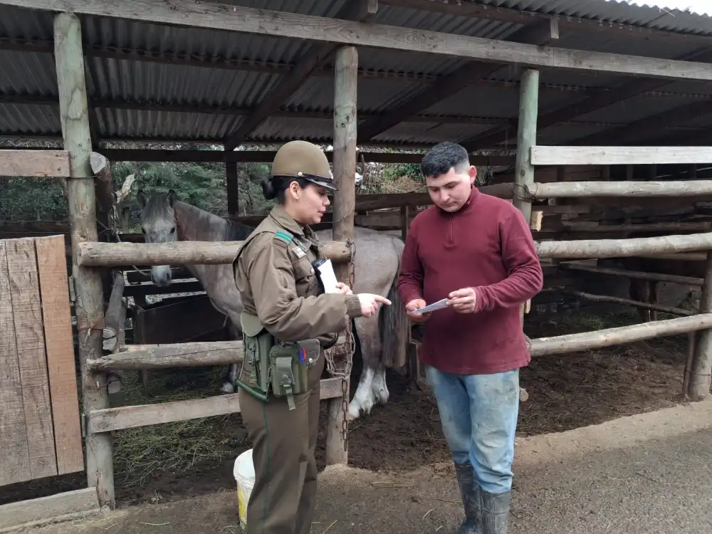 Aun Mes De Fiestas Patrias Carabineros Refuerza Prevencion Del Abigeato Y Entrega Recomendaciones En San Javier