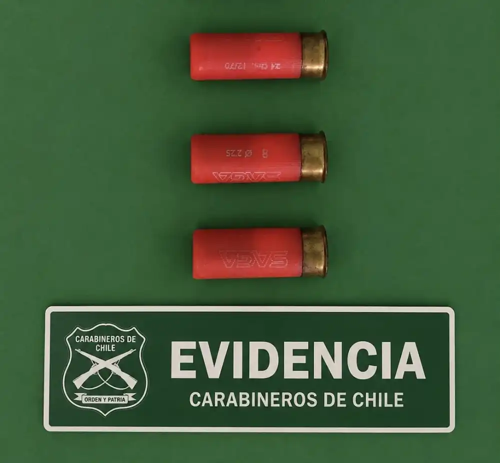 Carabineros Detiene A Hombre Por Tenencia Ilegal De Municiones En Sector Sarmiento De Curico