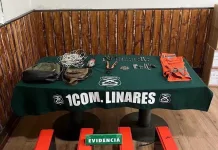 Carabineros detuvo a tres sujetos por robo de baterías desde antena de telefonía en Linares Carabineros Detuvo A Tres Sujetos Por Robo De Baterias Desde Antena De Telefonia En Linares