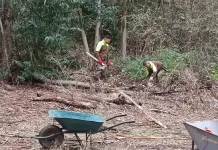 Carabineros entrega apoyo a matrimonio de adultos mayores afectado por escasez de leña en la precordillera de San Fernando Carabineros Entrega Apoyo A Matrimonio De Adultos Mayores Afectado Por Escasez De Lena En La Precordillera De San Fernando