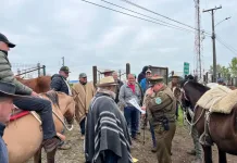 Carabineros y SAG refuerzan prevención del abigeato en sectores rurales de Parral y Retiro Carabineros Y Sag Refuerzan Prevencion Del Abigeato En Sectores Rurales De Parral Y Retiro