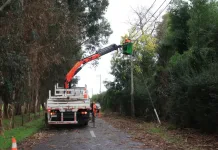 CGE restablece el suministro eléctrico tras sistema frontal que afectó a más de 153 mil servicios en el Maule Cge Restablece El Suministro Electrico Tras Sistema Frontal Que Afecto A Mas De 153 Mil Servicios En El Maule