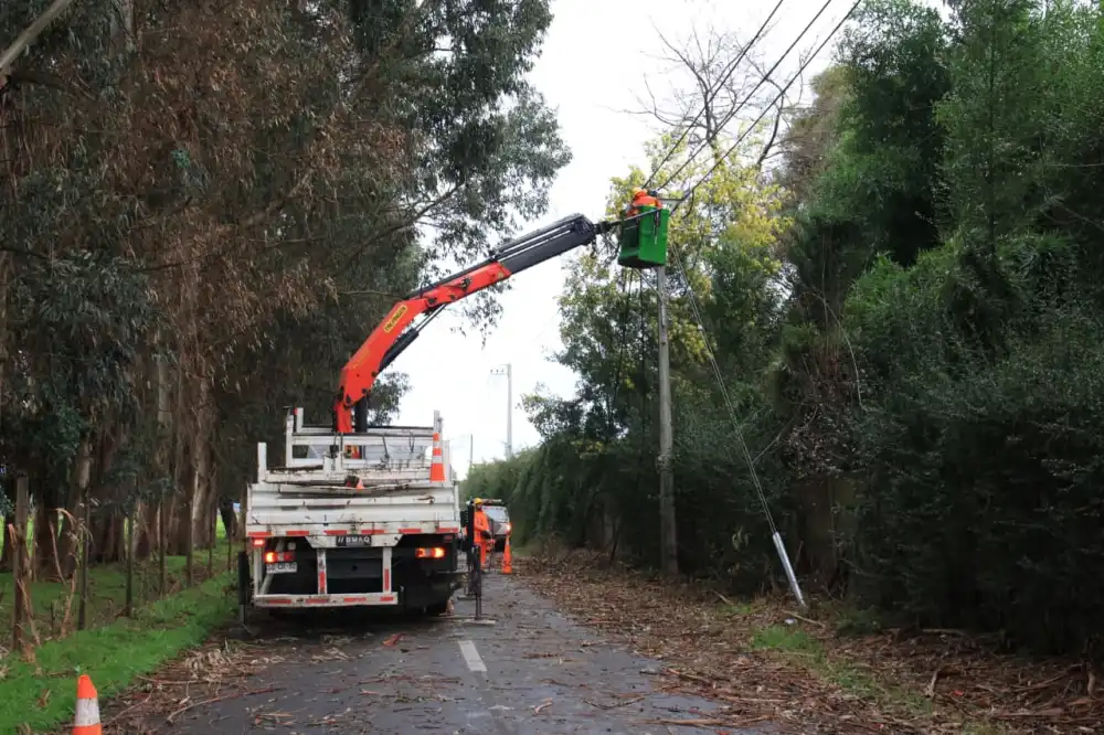 Cge Restablece El Suministro Electrico Tras Sistema Frontal Que Afecto A Mas De 153 Mil Servicios En El Maule