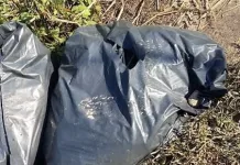 Confirman que restos óseos hallados en recipientes de basura en camino a los Niches en Curicó corresponden a restos humanos Confirman Que Restos Oseos Hallados En Recipientes De Basura En Camino A Los Niches En Curico Corresponden A Restos Humanos