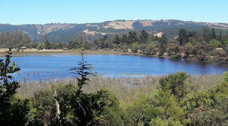 Contraloria Detecta Falencias En Gestion Ambiental Del Lago Vichuquen Laguna Torca Y Estero Llico