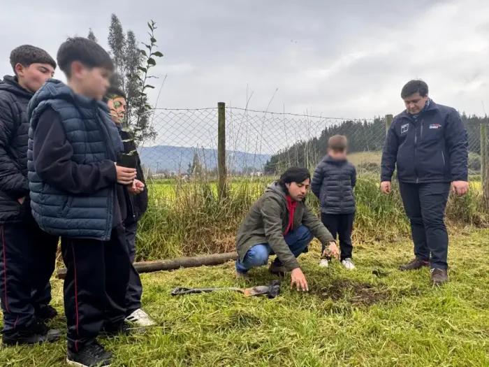 Curepto Impulsa Restauracion Ambiental Con Jornada De Reforestacion De Especies Nativas 1