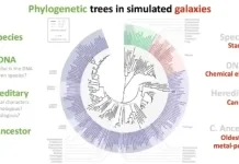 Del ADN a las estrellas: nueva metodología permite reconstruir la historia química de las galaxias Del Adn A Las Estrellas Nueva Metodologia Permite Reconstruir La Historia Quimica De Las Galaxias 1