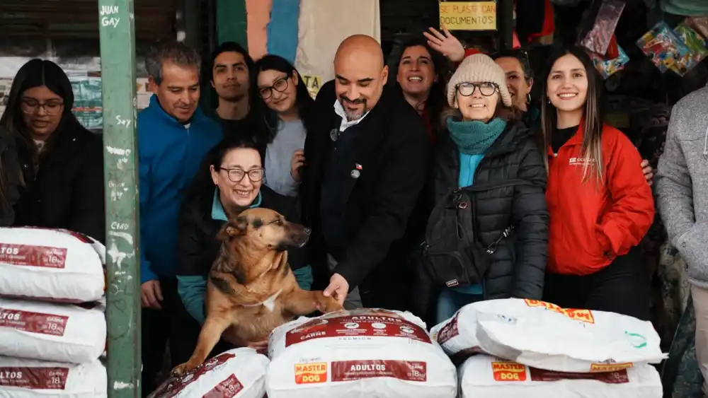 Donacion De 360 Kilos De Alimento Ira En Apoyo De Perros En Situacion De Calle En Molina