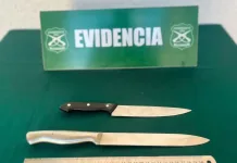 Dos Adolescentes Fueron Detenidos Con Armas Blancas Tras Operativo Apoyado Por Dron En Linares