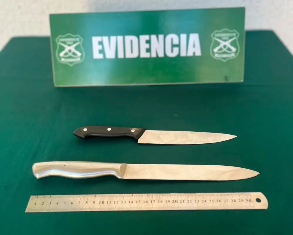 Dos Adolescentes Fueron Detenidos Con Armas Blancas Tras Operativo Apoyado Por Dron En Linares