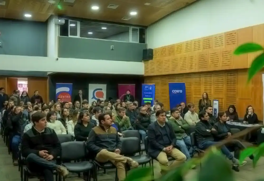 Empresas Y Academia Se Conectan En Match Id Para Fortalecer La Innovacion En El Maule 1
