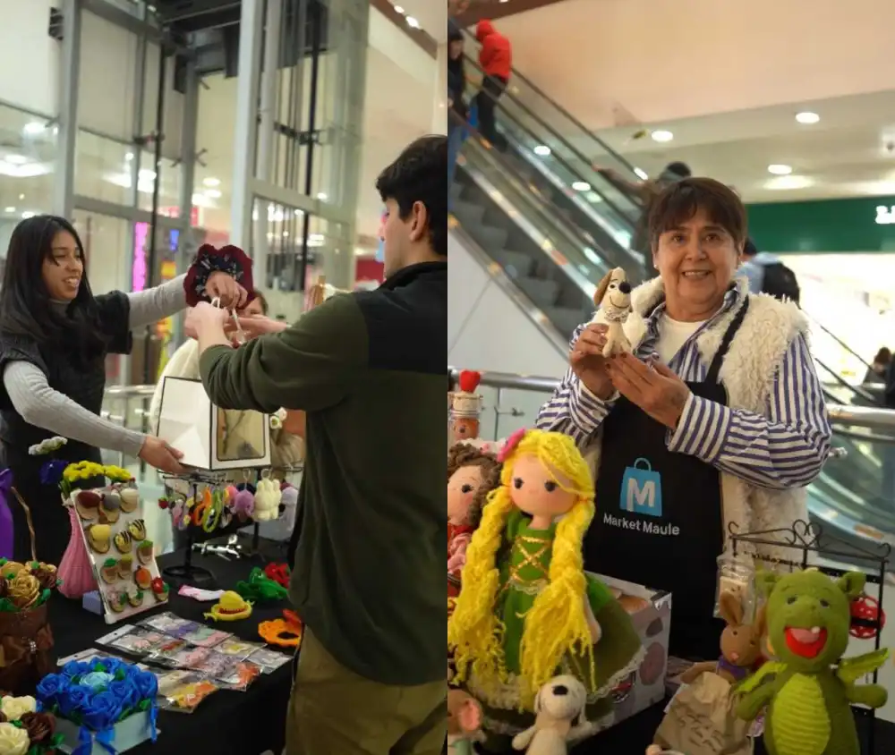 Expo Hecho En El Maule Reune A Emprendedores Regionales Y Promueve El Consumo De Productos Locales