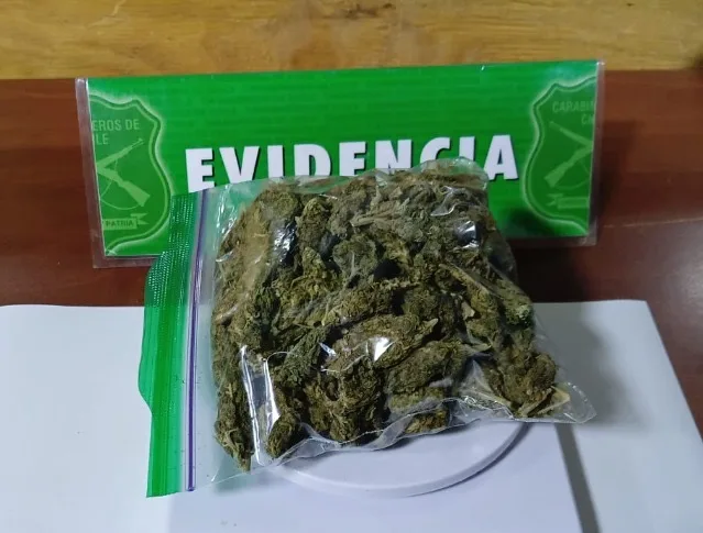 Fiscalizacion Vehicular Permitio Incautar 278 Gramos De Marihuana En Sector Palmilla De Linares