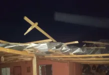 Sistema frontal deja múltiples emergencias por fuertes vientos en la provincia de Curicó Fuertes Vientos Provocan Caida De Arboles Cortes De Energia Y Danos En Viviendas En La Provincia De Curico