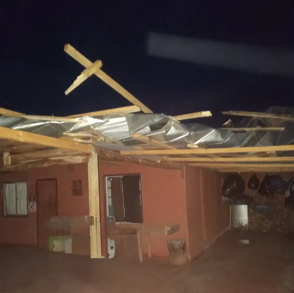 Fuertes Vientos Provocan Caida De Arboles Cortes De Energia Y Danos En Viviendas En La Provincia De Curico