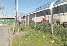 Identifican a adulto mayor fallecido tras ser impactado por tren de pasajeros en Curicó Identifican A Adulto Mayor Fallecido Tras Ser Impactado Por Tren De Pasajeros En Curico