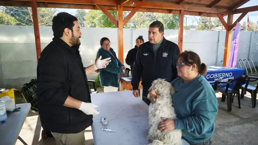 Mas De 30 Perros Y Gatos Recibieron Atencion Veterinaria Gratuita En Sarmiento