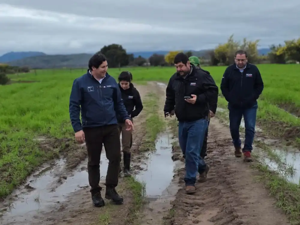 Mas De Mil Pequenos Agricultores Registran Afectaciones Por Sucesivos Sistemas Frontales En El Maule 1