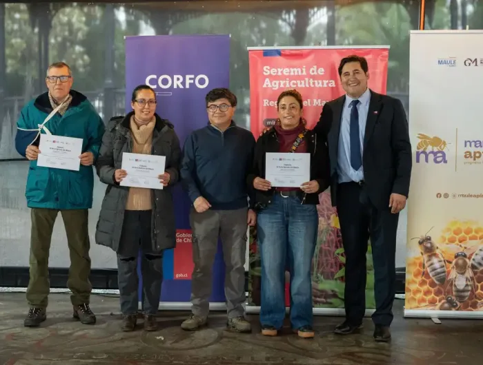 Miel De Licanten Obtiene El Primer Lugar En Cata Popular De Mieles Realizada En Talca 1 Miel De Licanten Obtiene El Primer Lugar En Cata Popular De Mieles Realizada En Talca 1