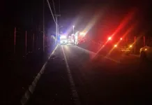 Investigan mortal choque entre un automóvil y un tractor en Santa Cruz Mujer Fallece Tras Violenta Colision Por Alcance Contra Un Tractor En La Ruta I 350 Camino A Apalta