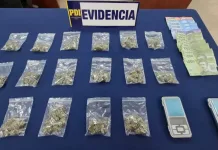 PDI detiene a hombre investigado por venta de cannabis a metros de establecimiento educacional en Peumo Pdi Detiene A Hombre Investigado Por Venta De Cannabis A Metros De Establecimiento Educacional En Peumo