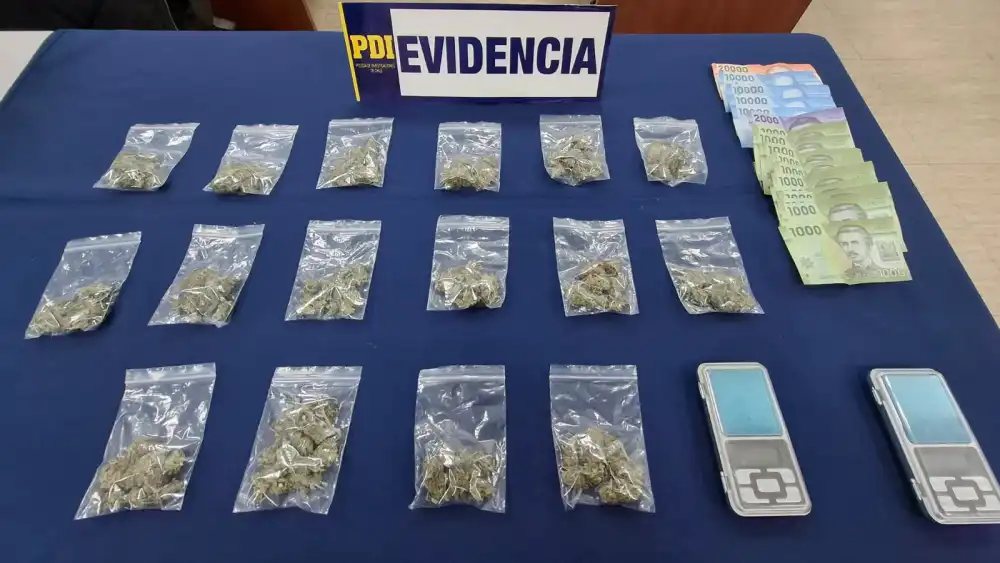 Pdi Detiene A Hombre Investigado Por Venta De Cannabis A Metros De Establecimiento Educacional En Peumo