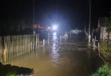 Senapred Declara Alerta Roja Por Desborde Del Rio Mataquito Para Licanten Y Curepto