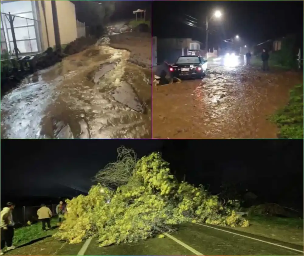 Sistema Frontal Deja Multiples Emergencias En La Provincia De Curico Tras Intensas Lluvias Y Fuertes Vientos