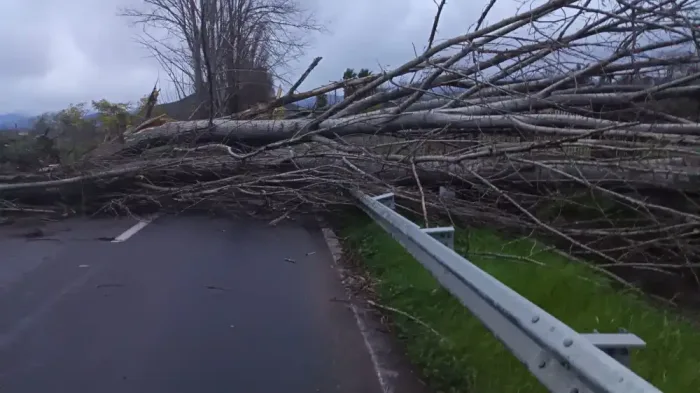 Sistema Frontal Deja Multiples Emergencias Por Fuertes Vientos En La Provincia De Curico 1