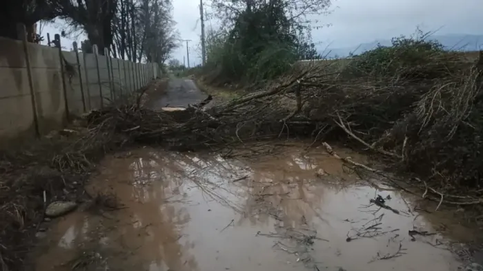 Sistema Frontal Deja Multiples Emergencias Por Fuertes Vientos En La Provincia De Curico 2