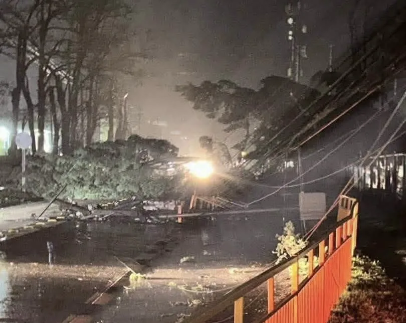 Tornado Afecta A Yungay Y Provoca Masivos Cortes De Energia Electrica En Nuble