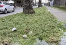 Vecinos De Curico Alertan Por Camara Sin Tapa Y Solicitan Medidas Preventivas Ante Riesgo De Accidentes 1