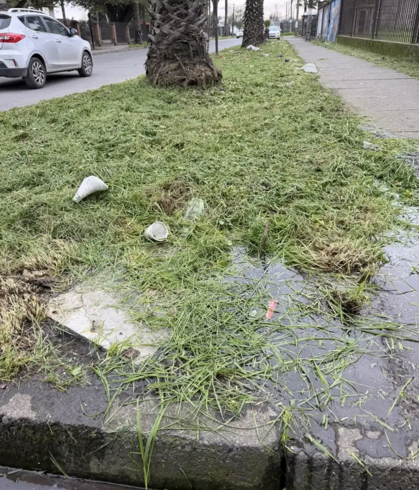 Vecinos De Curico Alertan Por Camara Sin Tapa Y Solicitan Medidas Preventivas Ante Riesgo De Accidentes 1