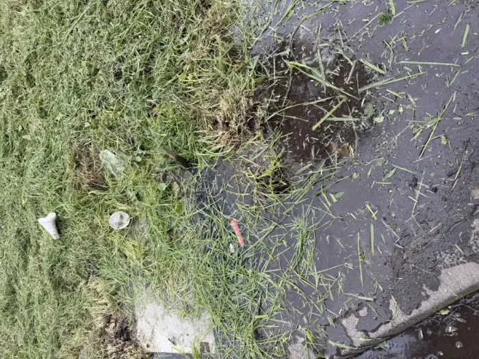 Vecinos De Curico Alertan Por Camara Sin Tapa Y Solicitan Medidas Preventivas Ante Riesgo De Accidentes 2