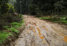 Vichuquén intensifica trabajos de recuperación tras el sistema frontal que afectó gravemente a la comuna Vichuquen Intensifica Trabajos De Recuperacion Tras El Sistema Frontal Que Afecto Gravemente A La Comuna 1