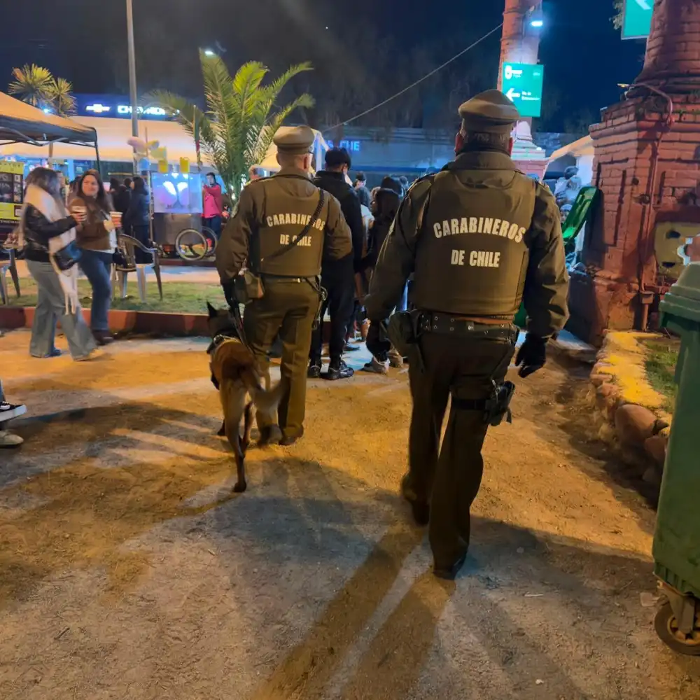 Balance De Carabineros En Fiesta De La Chilenidad En Curico Finaliza Con Ocho Detenidos Y Amplio Despliegue Policial