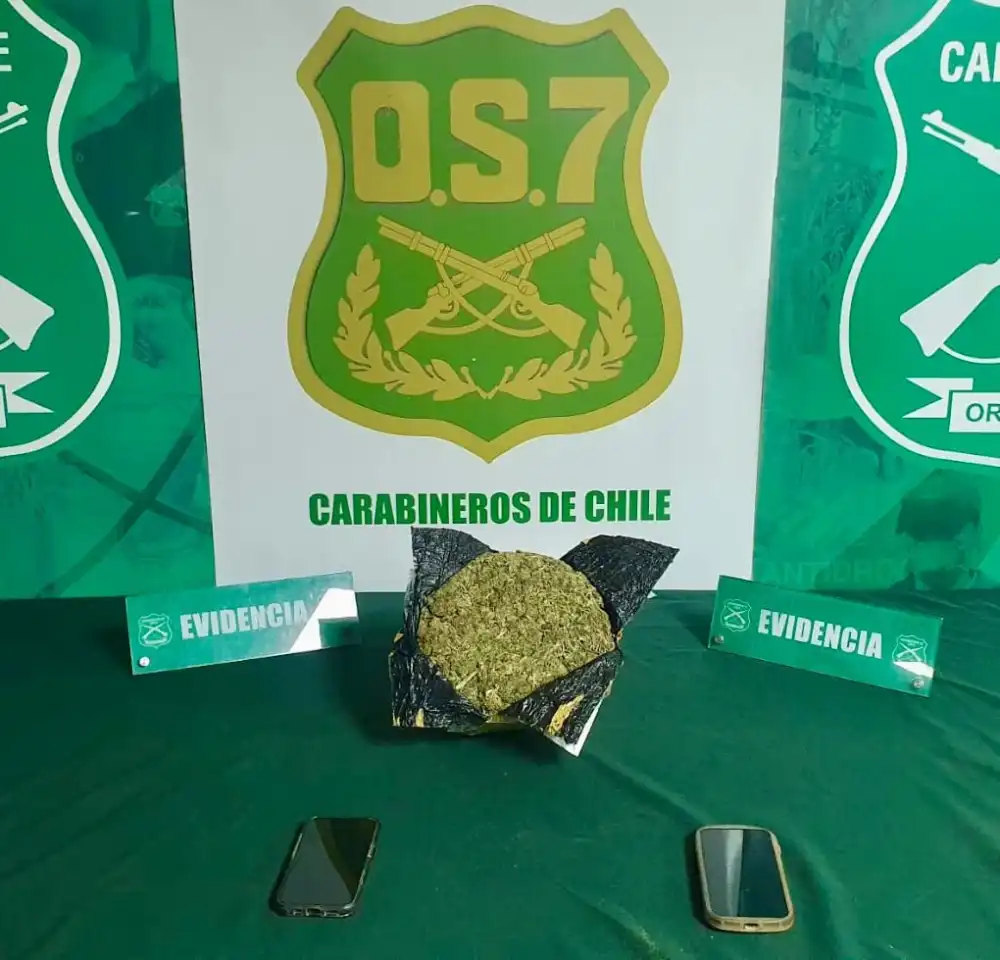 Carabineros Incauta Mas De Un Kilo De Marihuana Durante Fiscalizacion En La Ruta 5 Sur