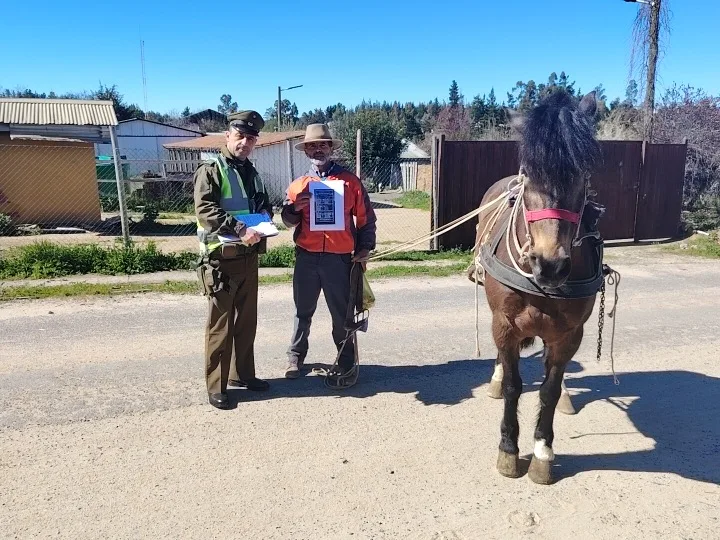 Carabineros Intensifica Controles Para Prevenir El Robo De Animales En Nirivilo