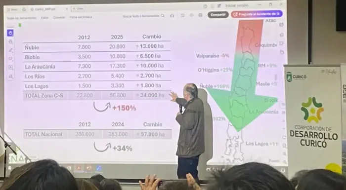 Curico Aborda Riesgos Climaticos Para La Agricultura Y Presenta Modelo Predictivo De Alerta Temprana 2 Curico Aborda Riesgos Climaticos Para La Agricultura Y Presenta Modelo Predictivo De Alerta Temprana 2